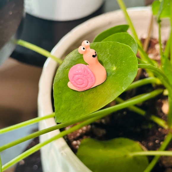 🍃30 pack of PetalPals plant Magnets🍃 - Picture 4 of 12